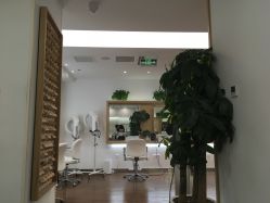 点击看大图 -THE LOG SALON 记录
