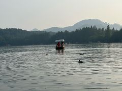 -西湖游船