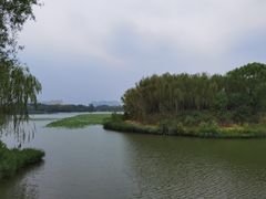 -大兴滨河森林公园