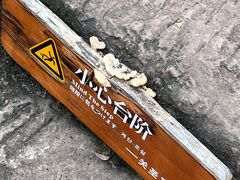 -五凤溪古镇