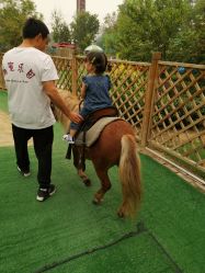 -萌宠亲子动物乐园(槐房万达店)