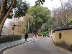 -重庆彩云湖湿地公园