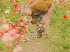 -成都濑川外国语学校