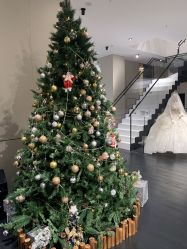 -MuseMarry婚纱(前海嘉里中心店)