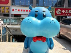 -盒马鲜生(双清路店)