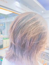 -镁连社·美联社