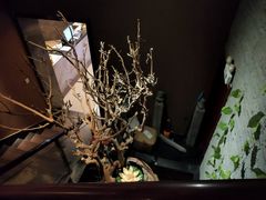 -大桶大足浴(武夷店)