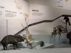 -长江文明馆