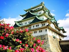 -名古屋城