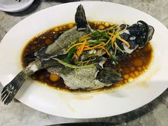 石斑鱼清蒸-四川小胡子海鲜(丁村万人海鲜广场店)