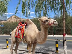 -黄河三峡风景名胜区