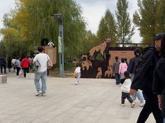 -鄂尔多斯野生动物园