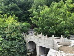 -陶祖圣境风景区