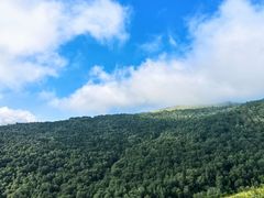 -灵山