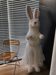 -WAVE SODA摄影工作室