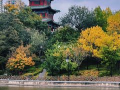 -迎泽公园