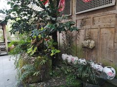 -青城甲(青城山店)