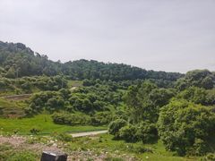 -关山草原