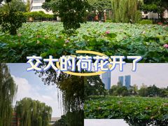 -西南交通大学(九里校区)