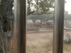 android_upload_pic-西安秦岭野生动物园