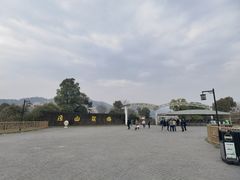 -径山花海