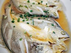 -华盛丰温州大排档(东三环南路店)