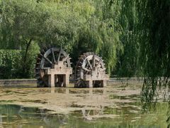 -黑龙江省森林植物园