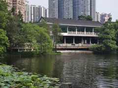 -荔湾湖公园
