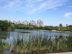 -新江湾城公园