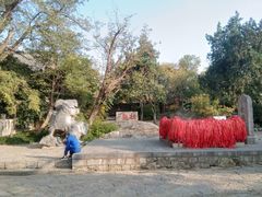 -云龙山