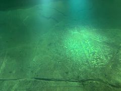 -白鹤梁水下博物馆
