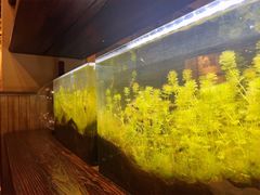 -不相离盐帮菜(郎园店)