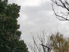 -昆山城市生态森林公园