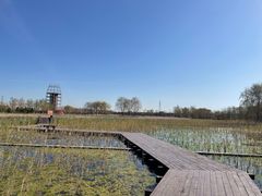 -永定河休闲森林公园