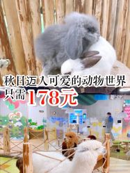 -七巧国萌宠乐园(龙湖天街店)