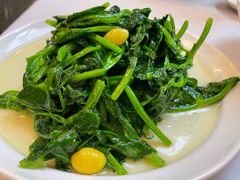 银杏豌豆尖-眉州东坡(亚运村店)