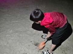-东郊椰林