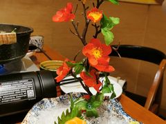 三文鱼刺身-有喜屋·烧鸟·居酒屋(周浦万达店)