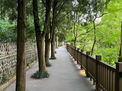 -天台山景区