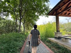 -洛阳市隋唐城遗址植物园