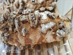 -好利来(道前街店)