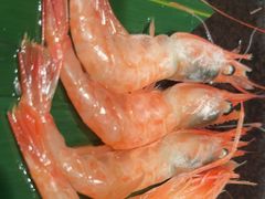 -星伦多自助料理·涮烤一体(江桥万达店)