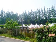 -前小桔亲子创意农场·草莓采摘·露营烧烤