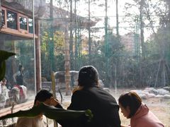 -上海野生动物园老虎餐厅