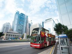 -Big Bus Tours 敞篷观光巴士