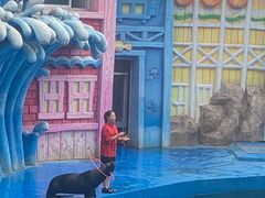 -华夏文旅海洋公园