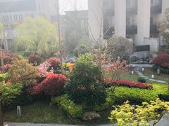 -上海崇明金茂凯悦酒店