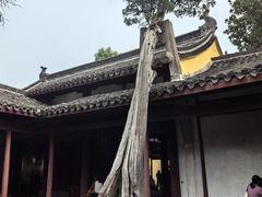 -太平天国侍王府