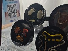 -半岛宠物医院24小时(白果林店)