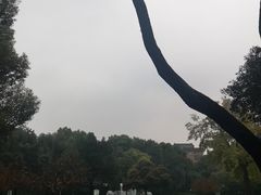 -常州古运河南大街文化旅游区-人民公园